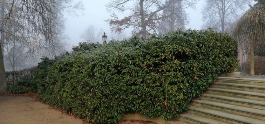 Jak si usnadnit p&eacute;či o zeleň v obci