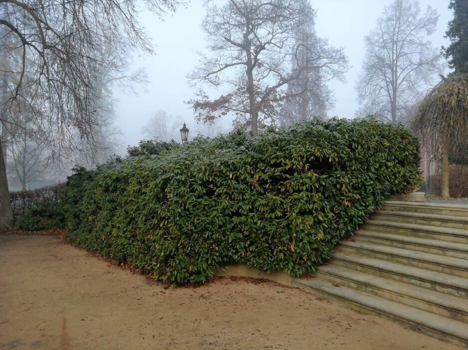 Proč je starost o obecn&iacute; zeleň důležit&aacute;?